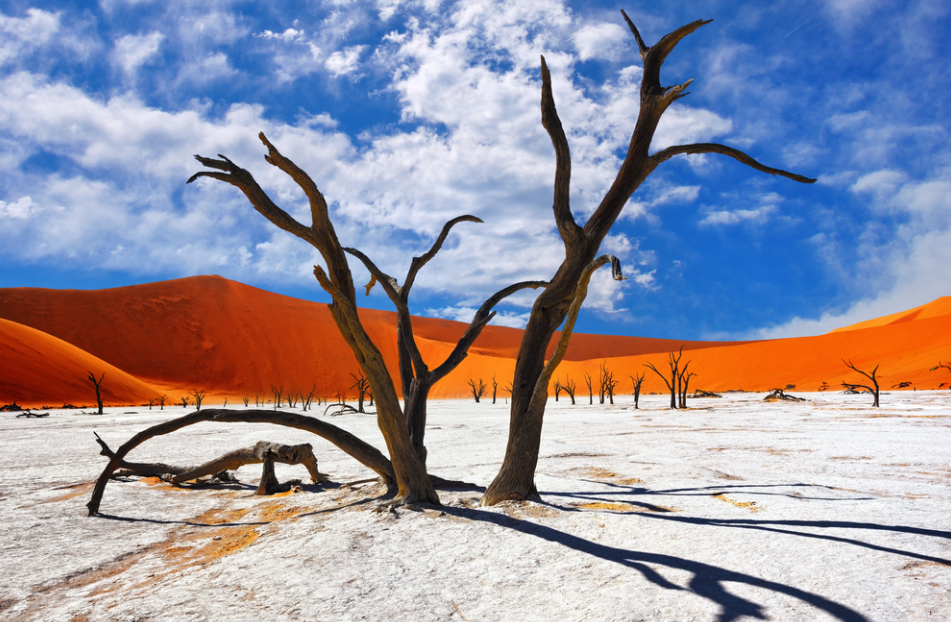 Namib-Naukluft National Park, Namib Desert, Erongo Region, Namibia